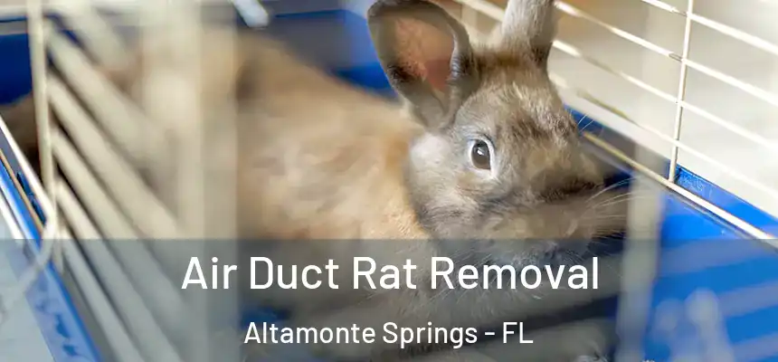 Air Duct Rat Removal Altamonte Springs - FL