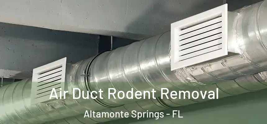Air Duct Rodent Removal Altamonte Springs - FL