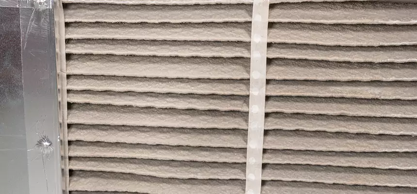 Mobile Car AC Filter Replacement in Altamonte Springs