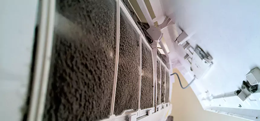 Preventive Air Duct Bacteria Removal in Altamonte Springs