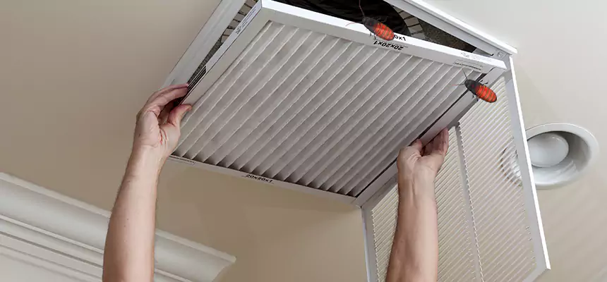 Preventive Cockroach-Proofing for Ducts in Altamonte Springs