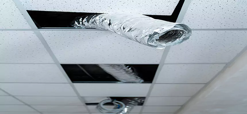 Affordable HVAC Sanitizing After Pest Removal in Altamonte Springs