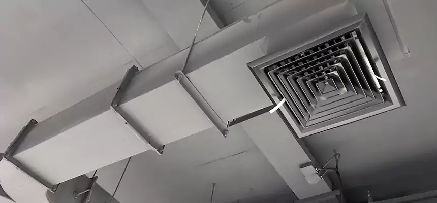 Restorative Allergy Relief Vent Cleaning – Coil, Blower & Housing Detail in Altamonte Springs