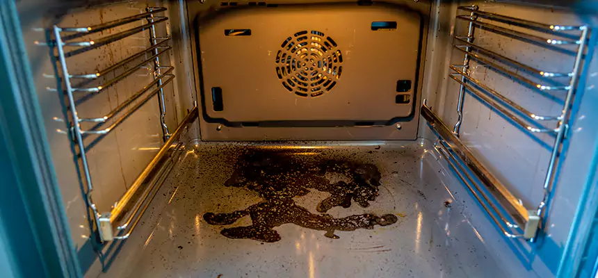 Our Dryer Vent Mold Cleaning Services in Altamonte Springs, FL