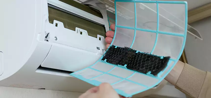 Gentle Ductwork Odor-Control Pet Dander Duct Cleaning in Altamonte Springs, FL