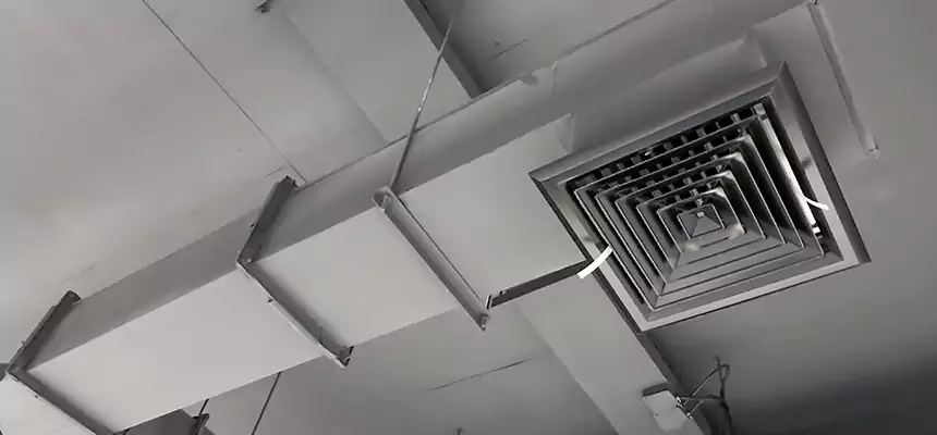 Our Rodent Droppings In Vents Services in Altamonte Springs, FL