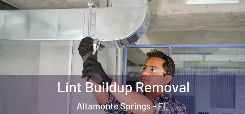 Lint Buildup Removal Altamonte Springs - FL