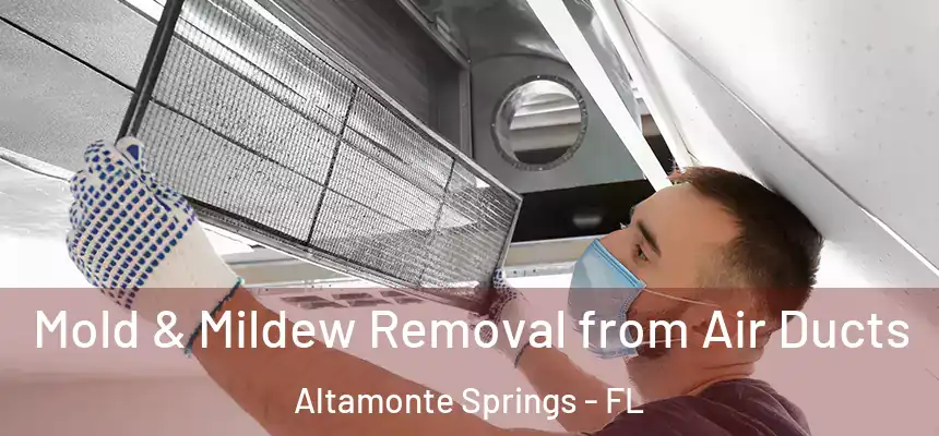 Mold & Mildew Removal from Air Ducts Altamonte Springs - FL