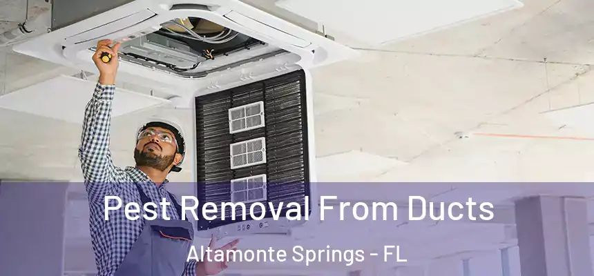 Pest Removal From Ducts Altamonte Springs - FL