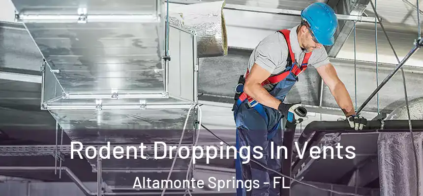 Rodent Droppings In Vents Altamonte Springs - FL