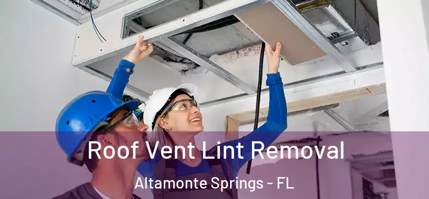 Roof Vent Lint Removal Altamonte Springs - FL