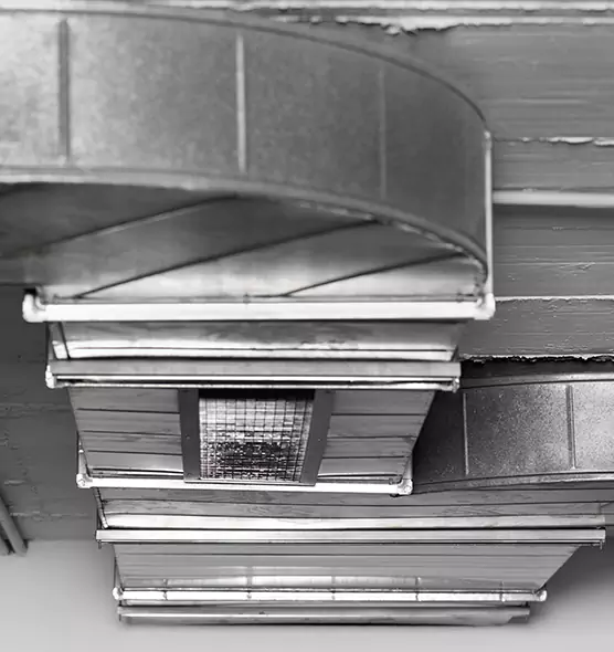 Professional Air Duct Pest Removal in Altamonte Springs, FL