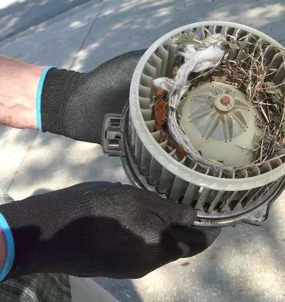 About Air Duct Rat Removal in Altamonte Springs, FL