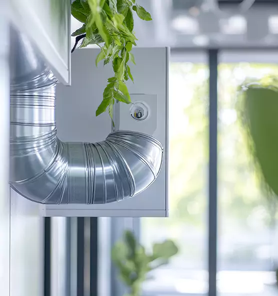 Professional Eco-Friendly Duct Cleaning Services in Altamonte Springs, FL