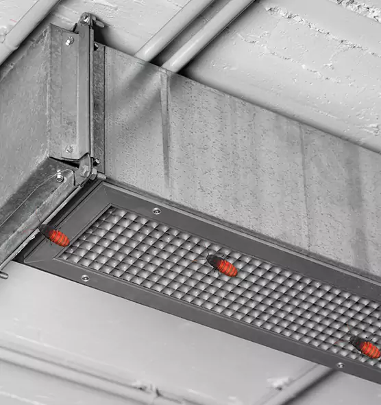 Affordable Insect Removal from Air Ducts in Altamonte Springs, FL