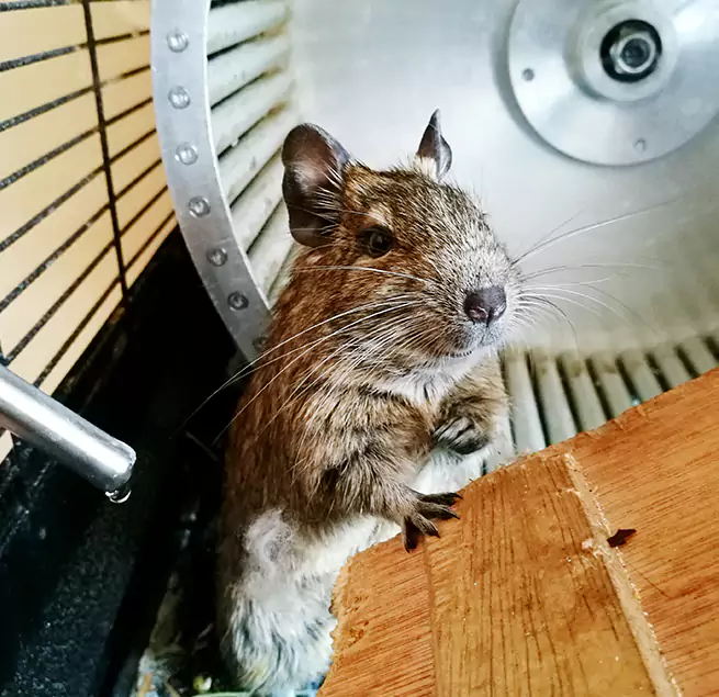 Why Homeowners & Businesses Trust Us Altamonte Springs, FL