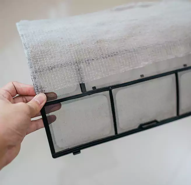 Why Homeowners & Businesses Trust Us in Altamonte Springs, FL?