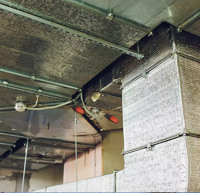 Why Homeowners & Businesses Trust Us Altamonte Springs, FL?