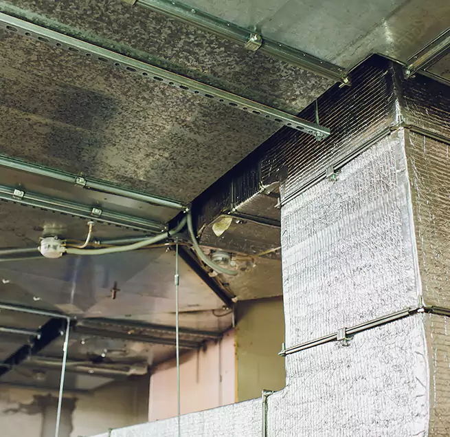 Why Homeowners & Businesses Trust Us in Altamonte Springs, FL?